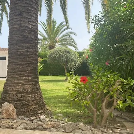 Vila Palmera Playa Almadrava, Els Poblets , *