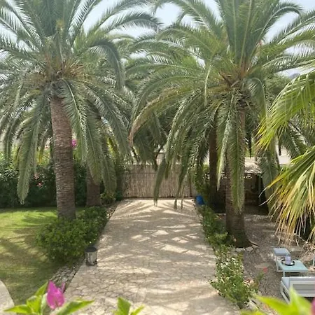 Villa Palmera Playa Almadrava