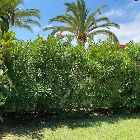 Villa Palmera Playa Almadrava *